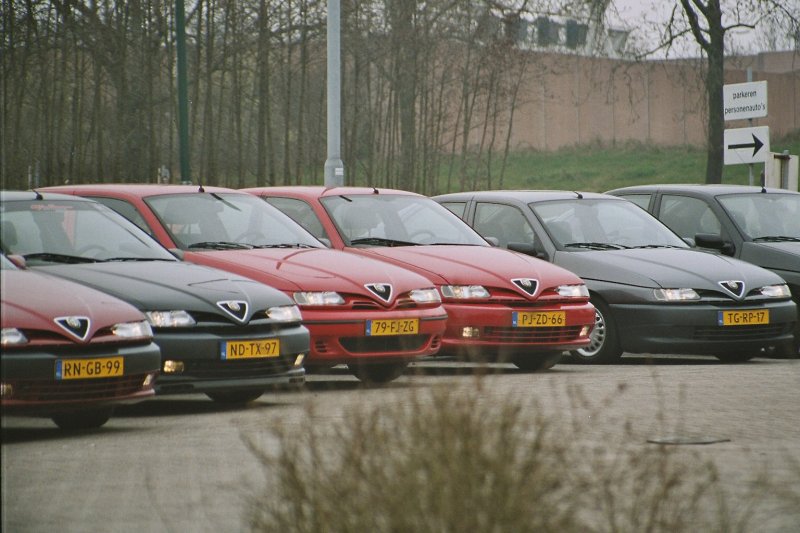 imm003.jpg