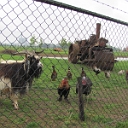 296154525cdf53aadf40757d5f0700d5