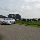 0c72d705654d218f6bdf0c5d215ddb26