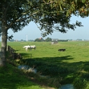 7b4e535144f4a123a4be48f077d1cb43